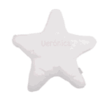 Cojín estrella grande blanco nombre bordado
